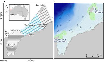 Dolphin Distribution and Habitat Suitability in North Western Australia: Applications and Implications of a Broad-Scale, Non-targeted Dataset